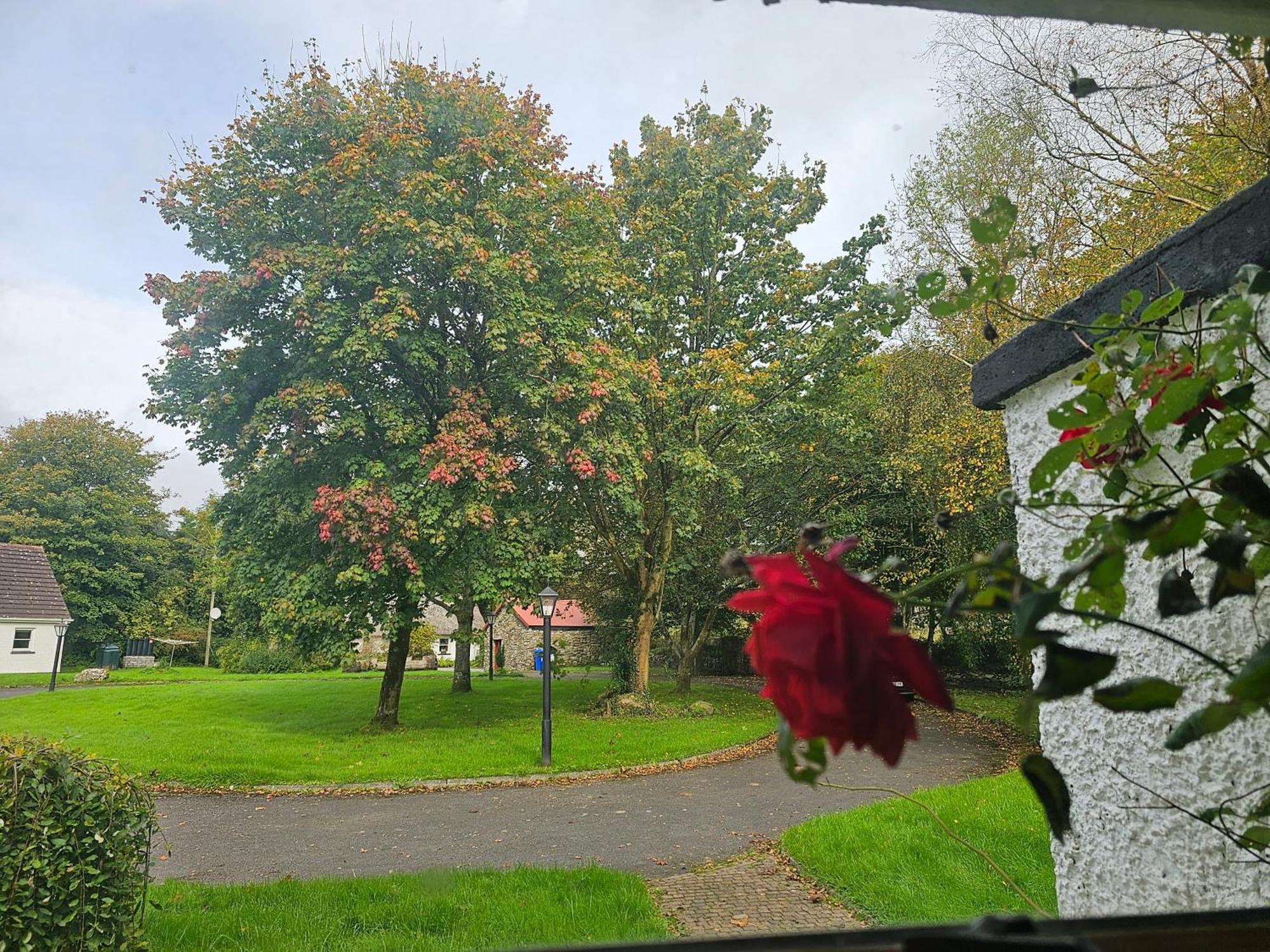 Longford Holiday Red Rose Self Catering Cottage Exterior foto